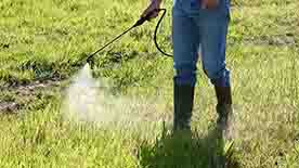 herbicide spraying